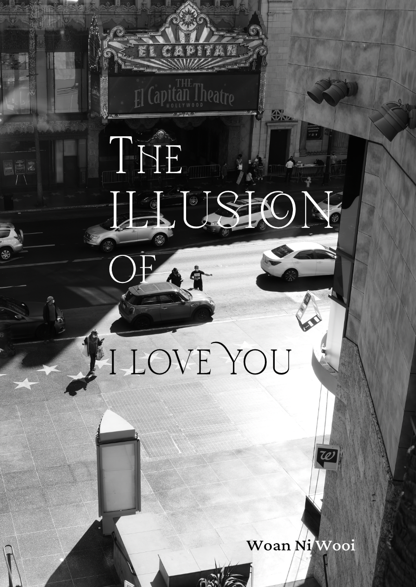 The Illusion of I Love You book cover
