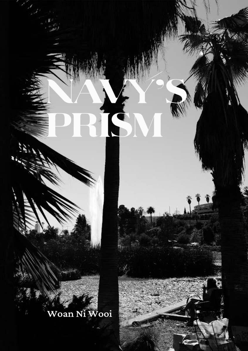 Navy's Prism book cover